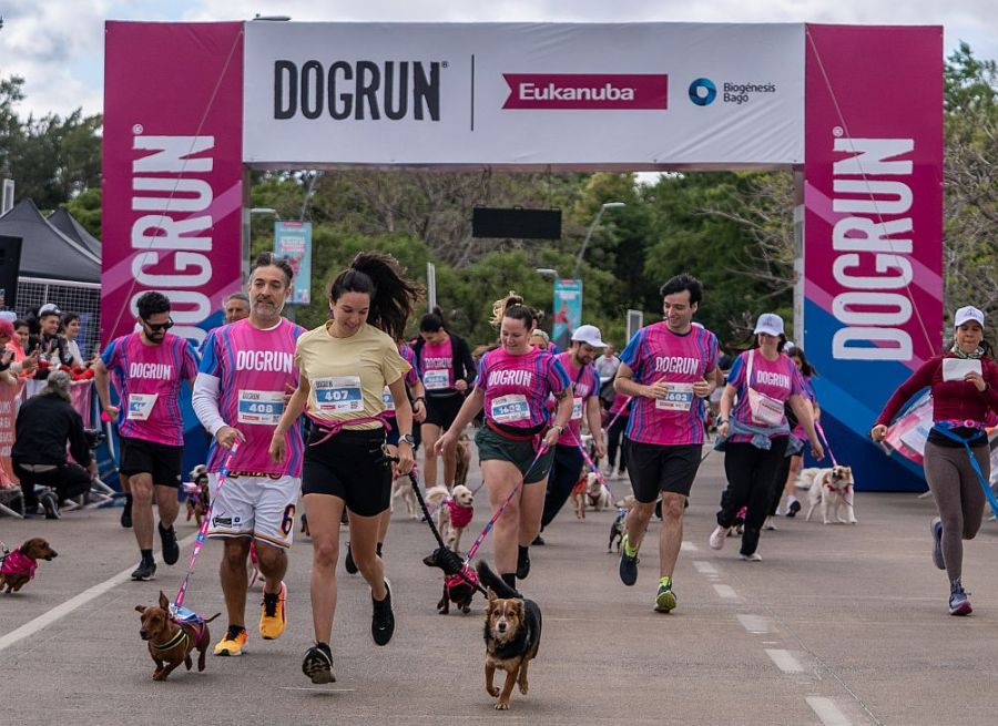 0921_dogrun