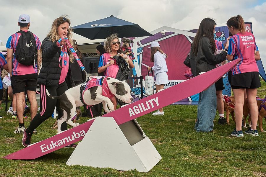 0921_dogrun