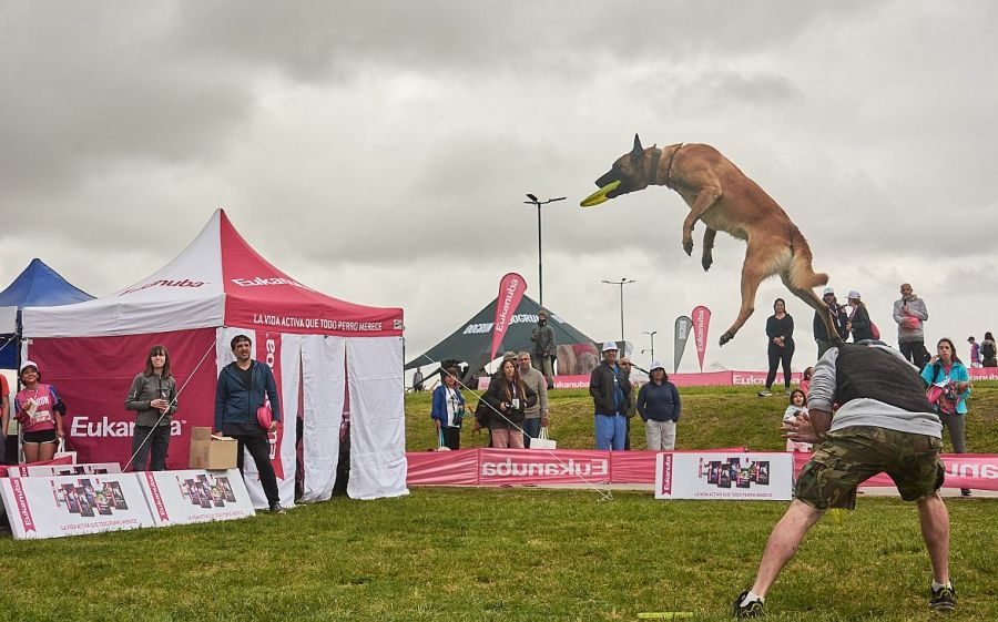 0921_dogrun