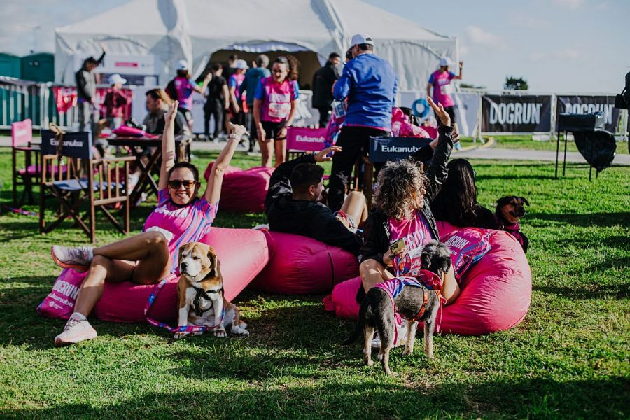 0921_dogrun