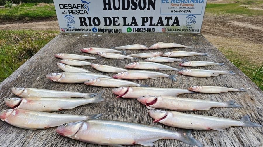 2109_hudson