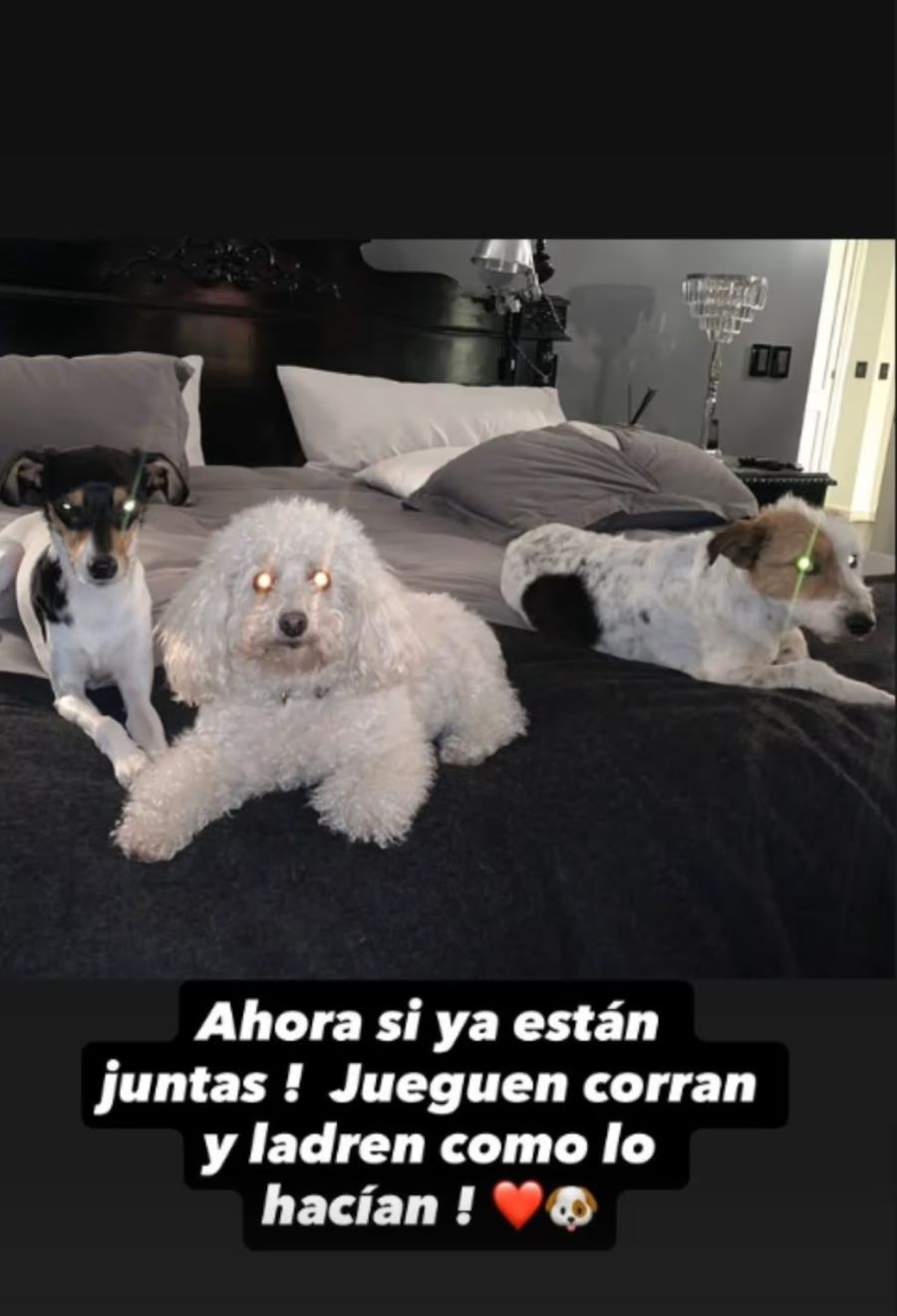 Barby Franco y Fernando Burlando