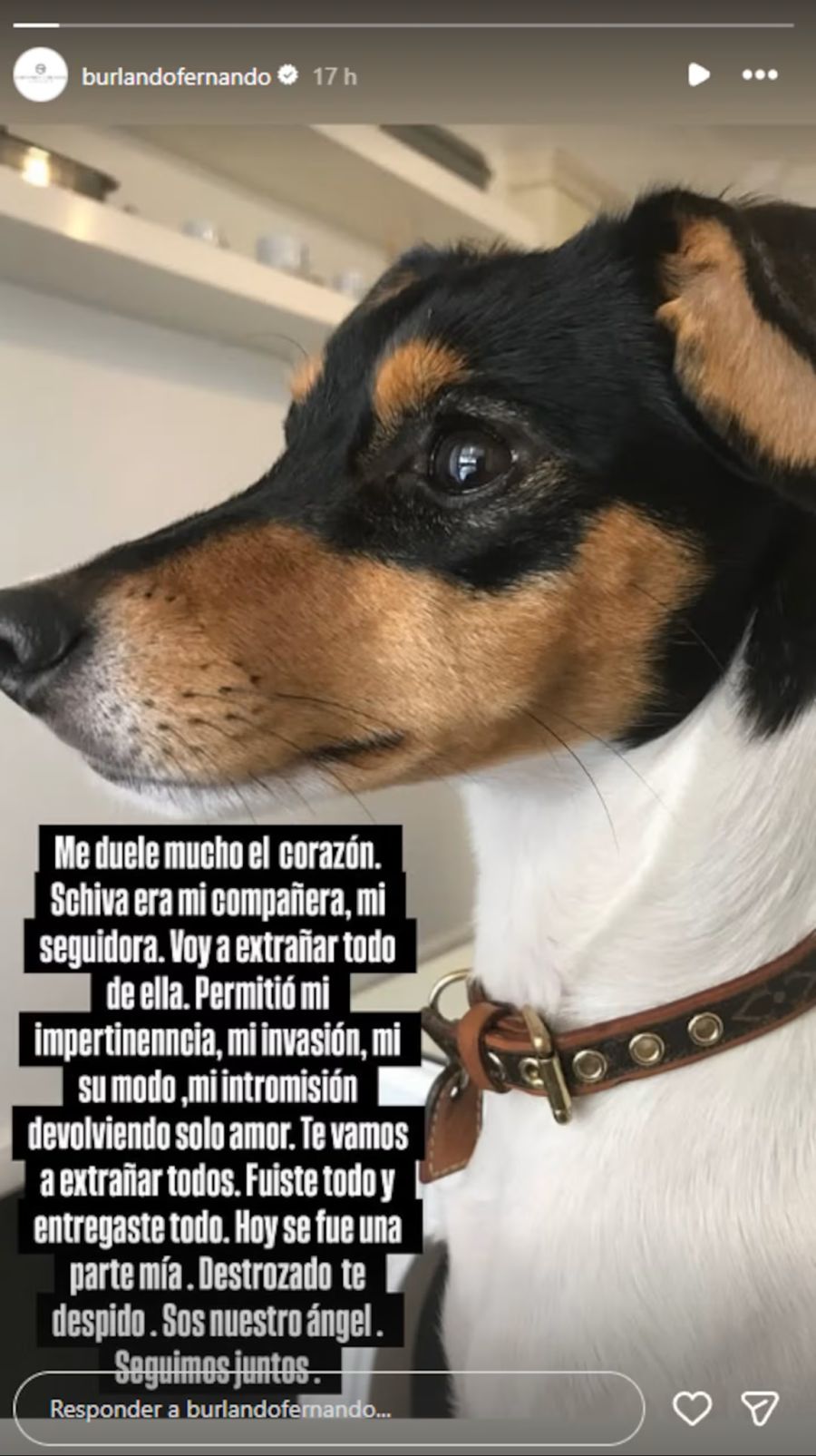 Barby Franco y Fernando Burlando