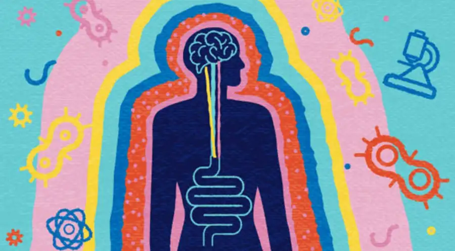 Lo que pasa en tu intestino, ¿puede cambiar tu estado de ánimo?