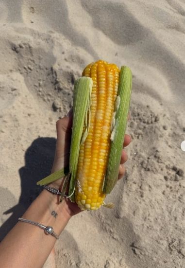 Vacaciones de Jimena Barón en Brasil