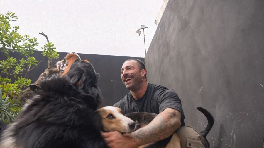 Así es la guardería canina que abrió Lisandro Navarro, ex Gran Hermano