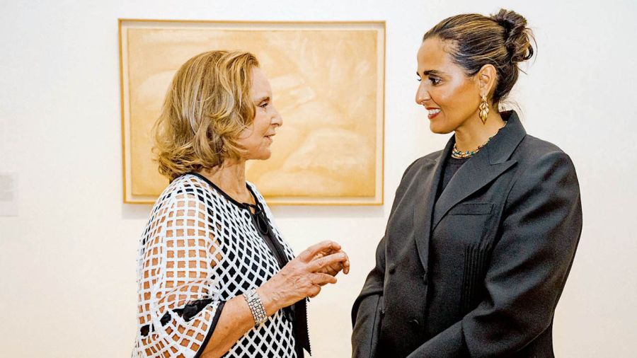 TERESA BULGHERONI VICEPRESIDENTE DEL MALBA