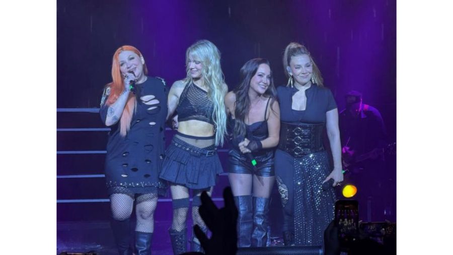 Bandana Gran Rex