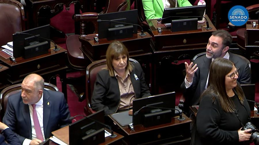 Patricia Bullrich - Sesion Senado 24092026