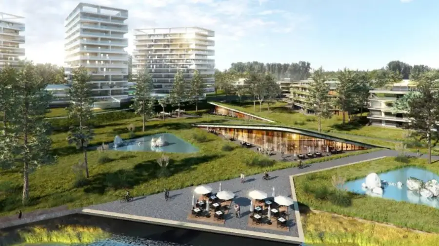 Proyecto +Colonia