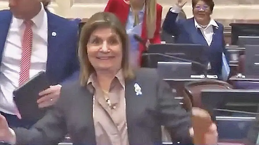 Un frente de conflicto llamado Patricia Bullrich. La tensión interna entró en otra fase después de la última sesión del Senado.