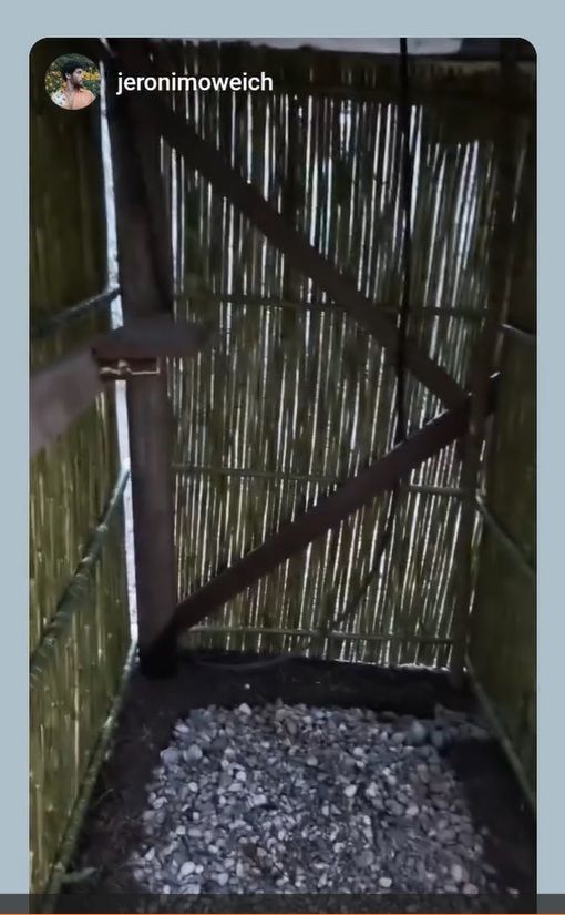La ducha sustentable de Momo Weich