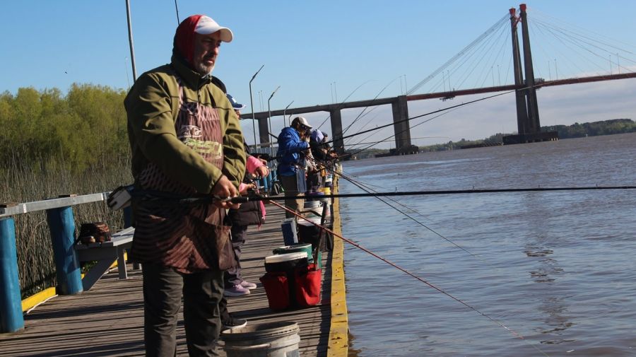 2809_guazu_sardina