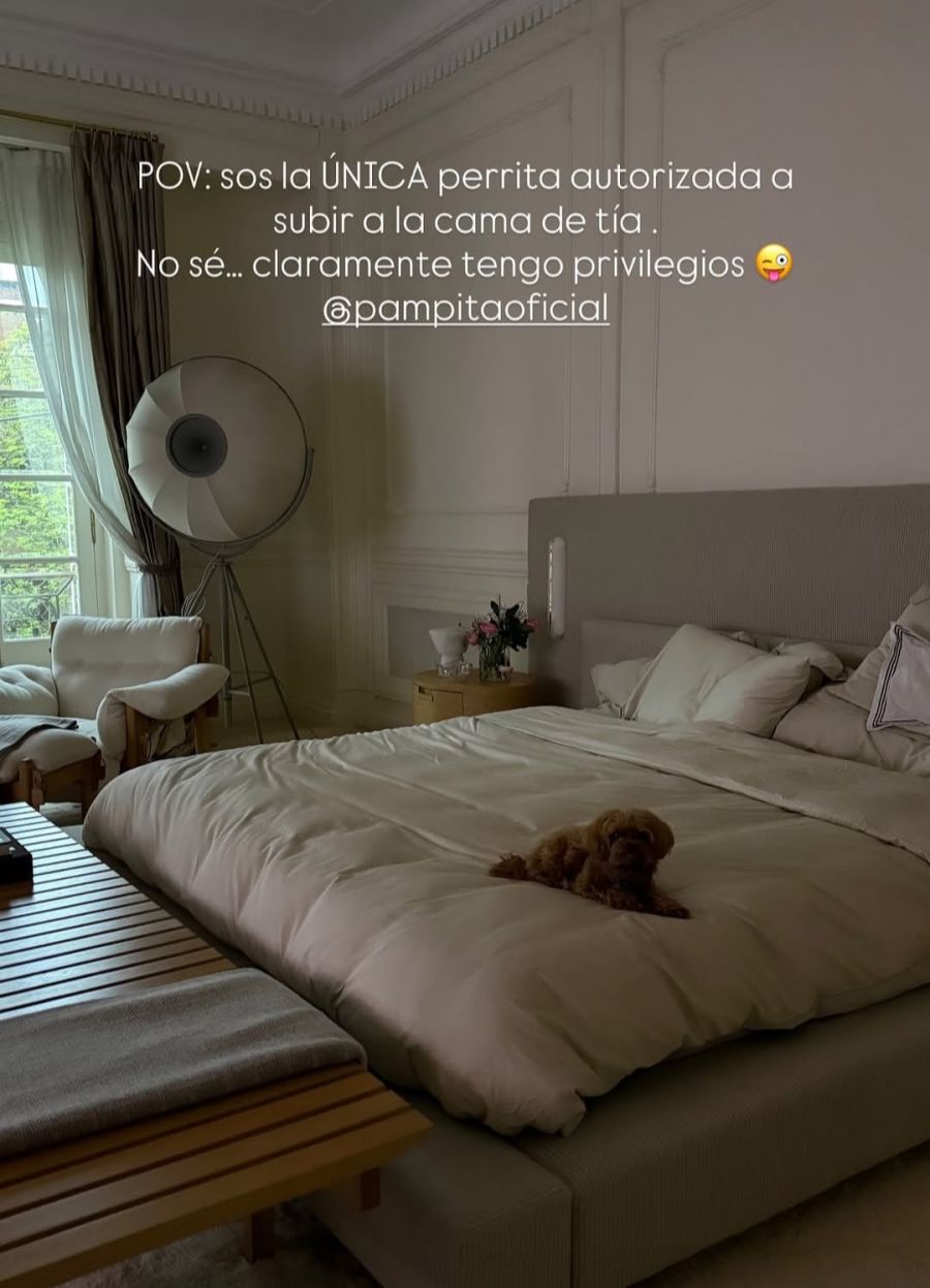 pampita