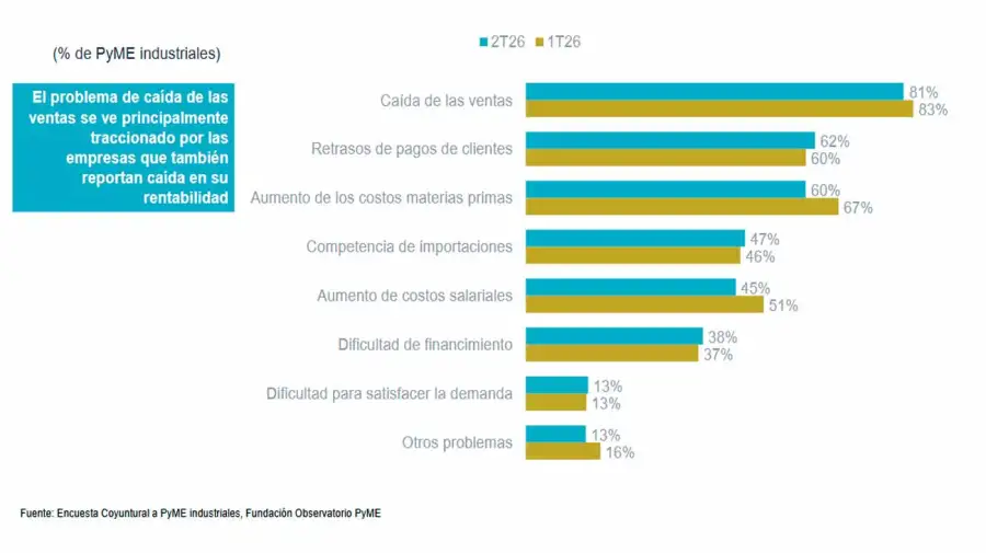 Problemática de las PyMEs