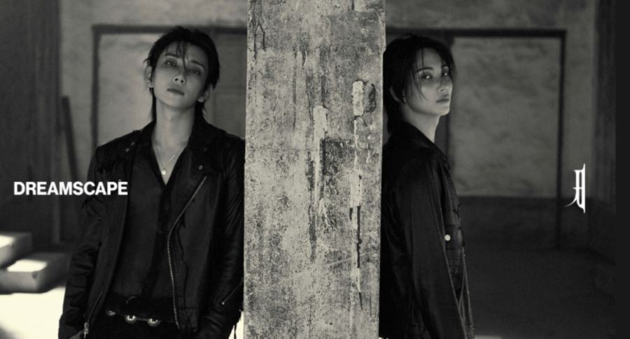 Jeonghan y Joshua del grupo de K-Pop SEVENTEEN