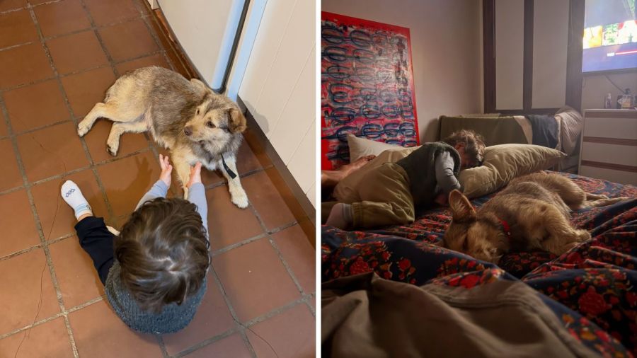 Jimena Barón, Matías Palleiro y sus hijos, Momo y Arturo