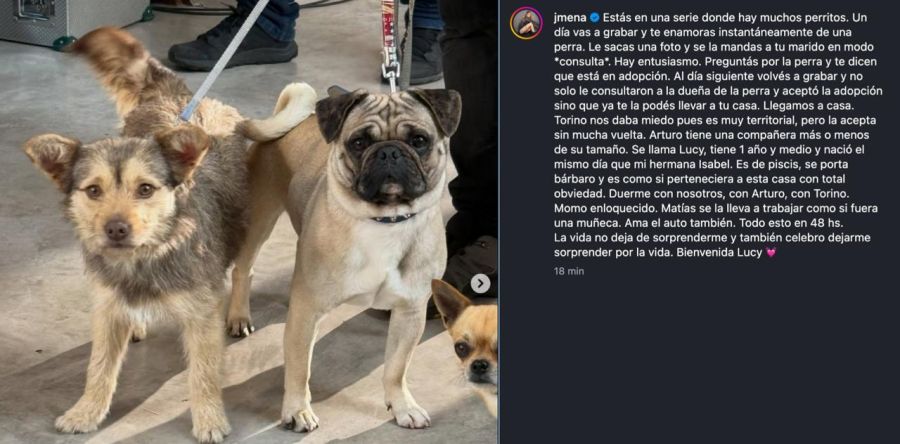 Jimena Barón, Matías Palleiro y sus hijos, Momo y Arturo