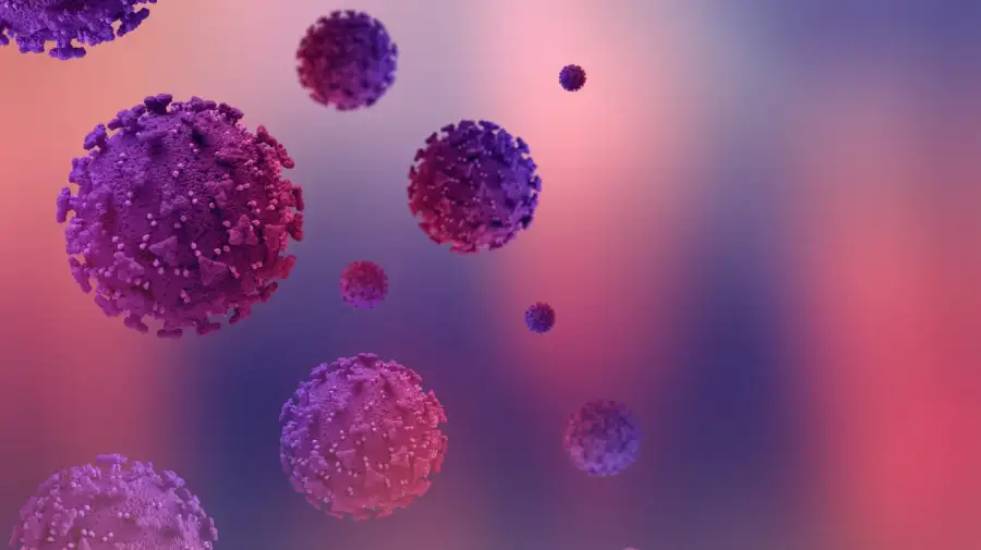 HPV - Virus del Papiloma Humano