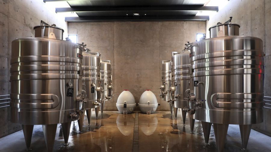 Bodega Sur de Los Andes en Delirio