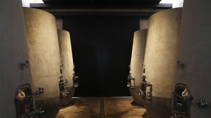 Bodega Sur de Los Andes en Delirio