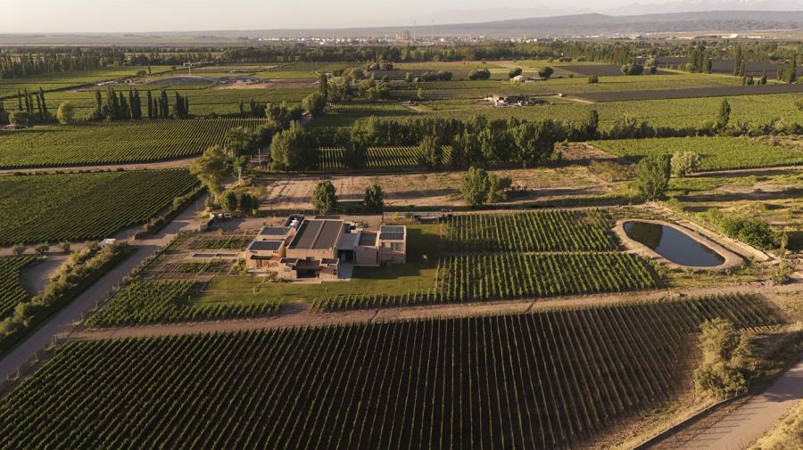 Bodega Sur de Los Andes en Delirio