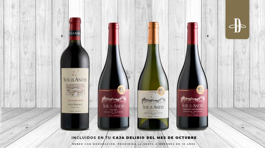 Bodega Sur de Los Andes en Delirio