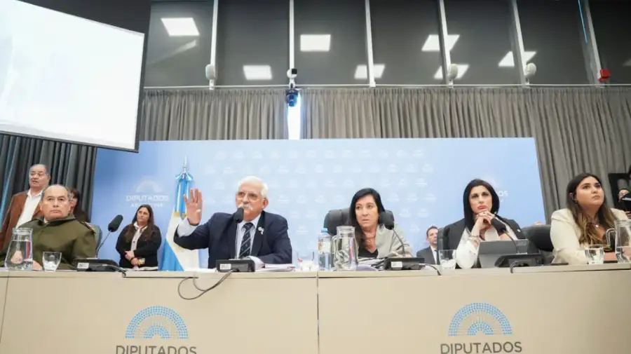 Escándalo en el plenario de las comisones de Diputados por Malvinas