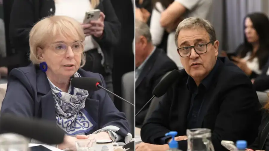 Escándalo en el plenario de las comisones de Diputados por Malvinas