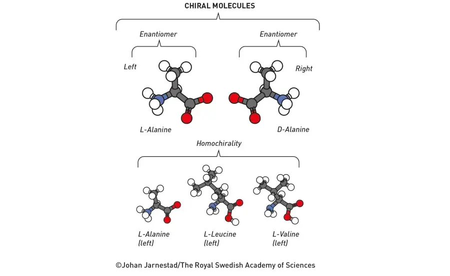 Nobel 2026 quimica