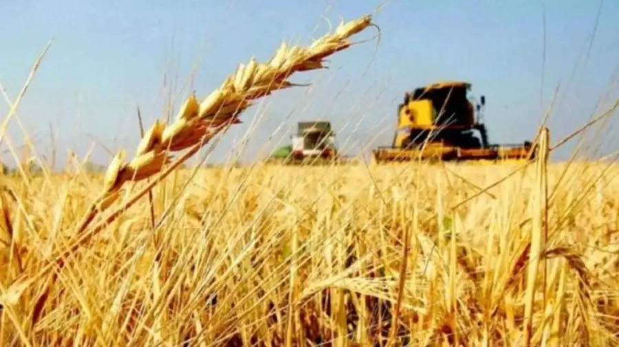Día del Trabajador Rural