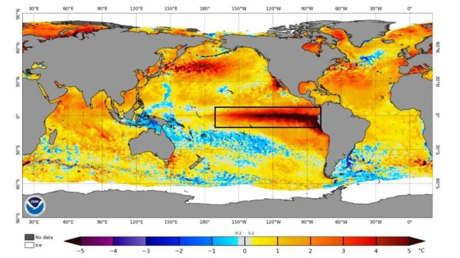 La temperatura del mar en el océano Pacífico alcanzará el nivel más alto 