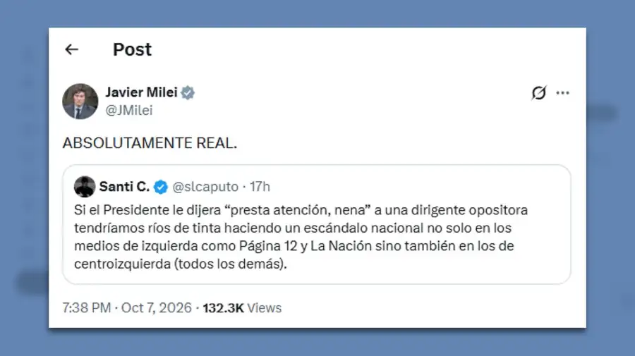 Posteo Javier Milei