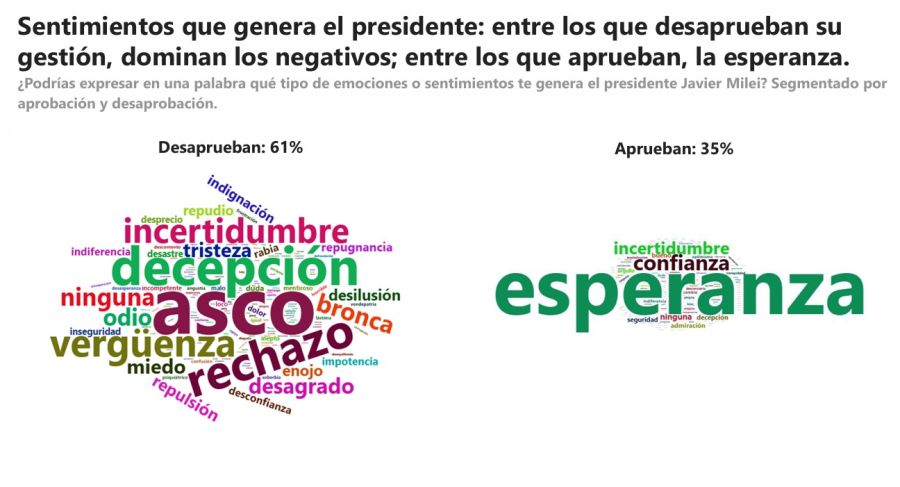 Encuesta: qué sentimientos despierta Milei