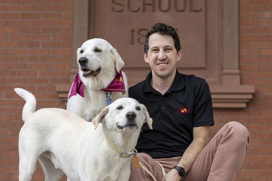 Perros y longevidad