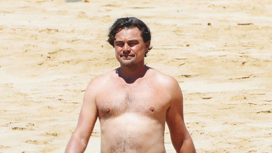 DiCaprio: tres años de amor