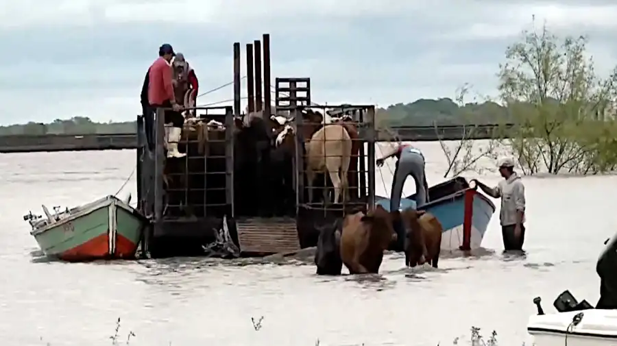 Crecida del río Paraná 16102026