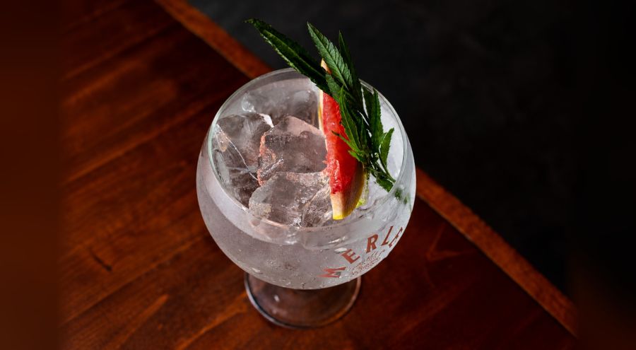 Gin tonic