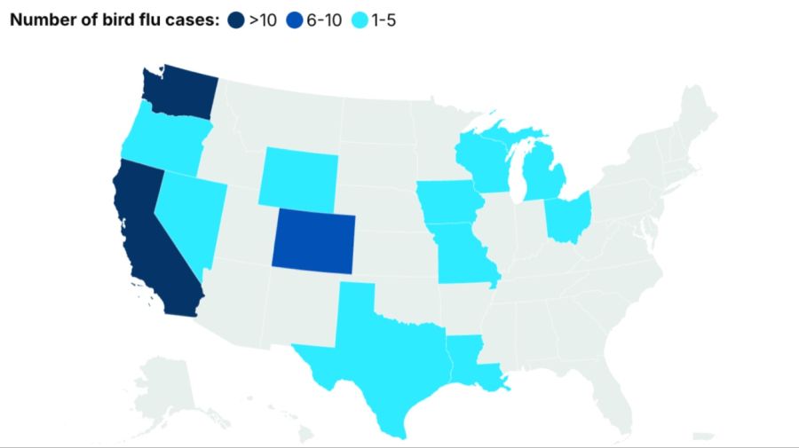 Estados Unidos registra el primer caso de gripe aviar