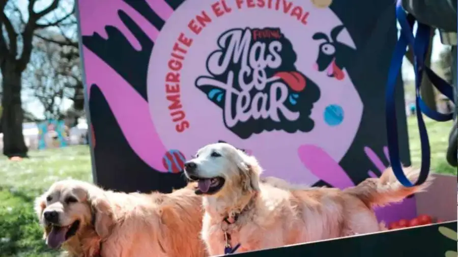 Festival Mascotear