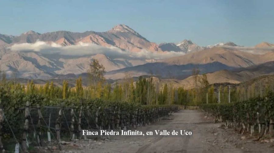 Para los Zuccardi es fundamental hacer foco sobre los valores y pilares que sostienen a la compañía 19102026