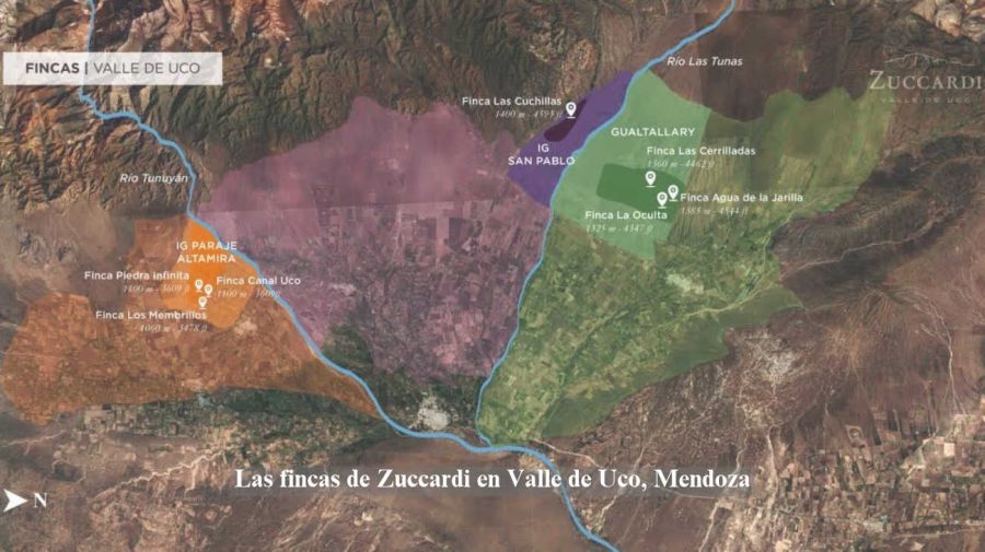 Para los Zuccardi es fundamental hacer foco sobre los valores y pilares que sostienen a la compañía 19102026