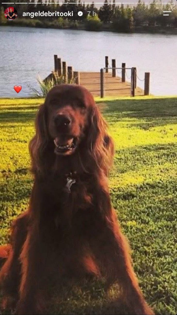 Ángel de Brito recordó a su perro