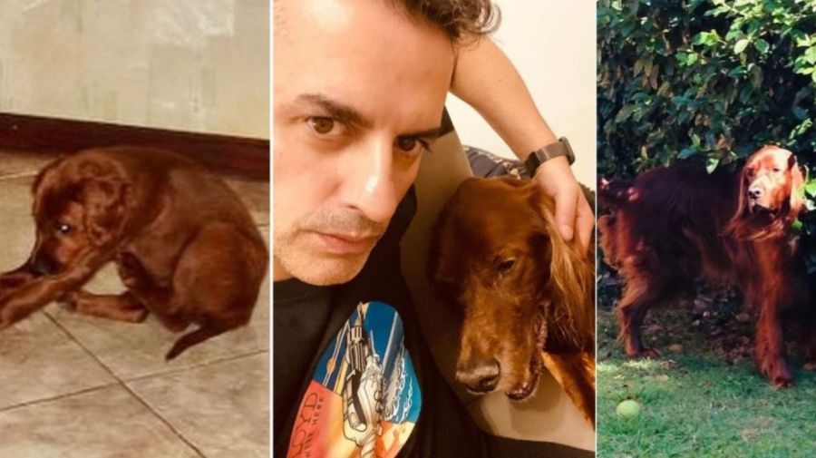 Ángel de Brito y su perro Chester