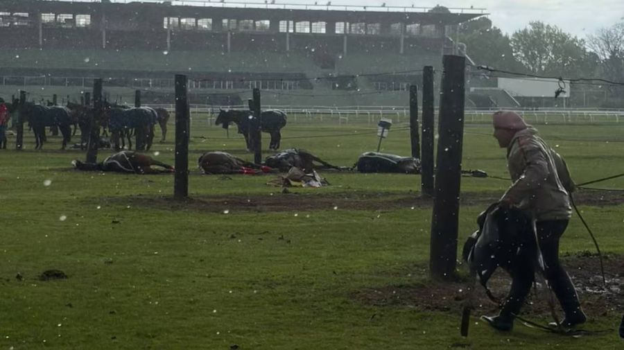 Un rayo mató a cuatro yeguas de polo en San Isidro