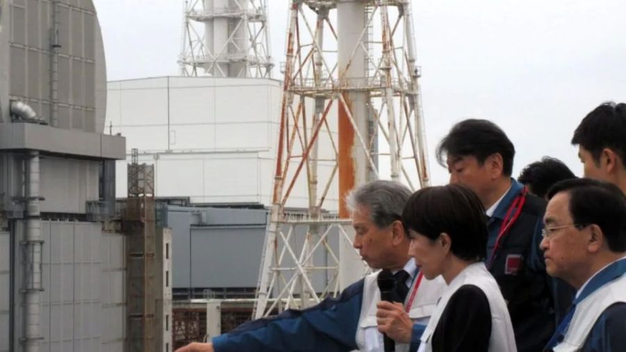 Japón nuclear
