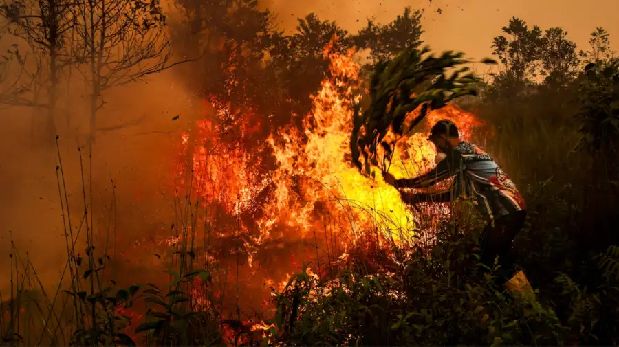 Los incendios masivos en Indonesia