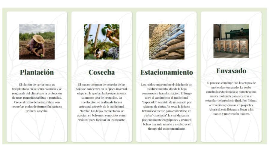 Ingrid Grudke lanzó su propia marca de yerba mate
