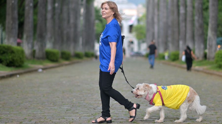 Simpatizantes de Flavio Bolsonaro