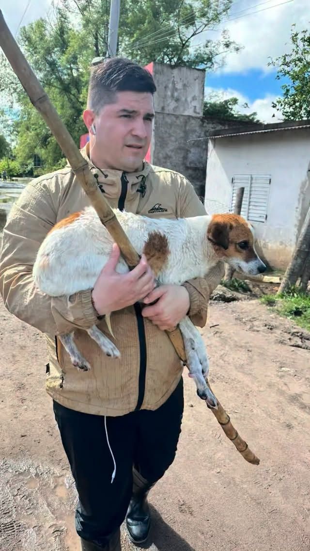 El periodista Alejandro Pueblas rescató a un perro